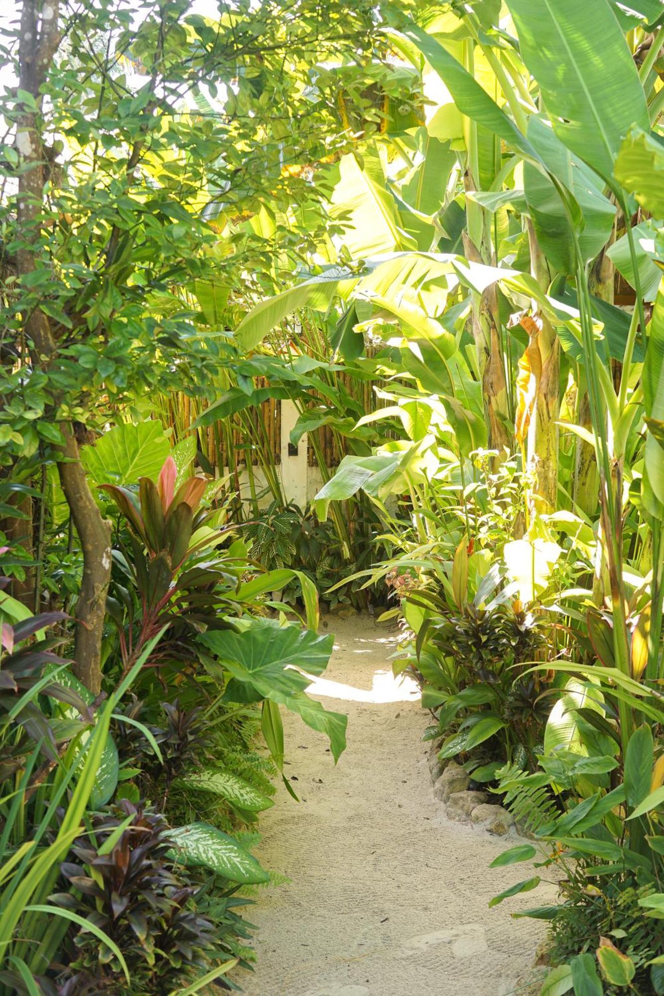 Greenhouse Siargao Roadside Boutique Apartments General Luna  Buitenkant foto